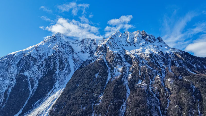 Frisch verschneite Gipfel über dem Bergwald